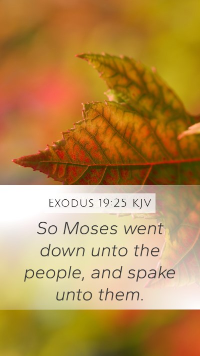 Exodus 19:25 KJV Mobile Phone Wallpaper - So Moses went down unto the people, and spake - Mobile Bible Verse Wallpaper