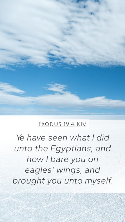 Exodus 19:4 KJV Bible Verse Image