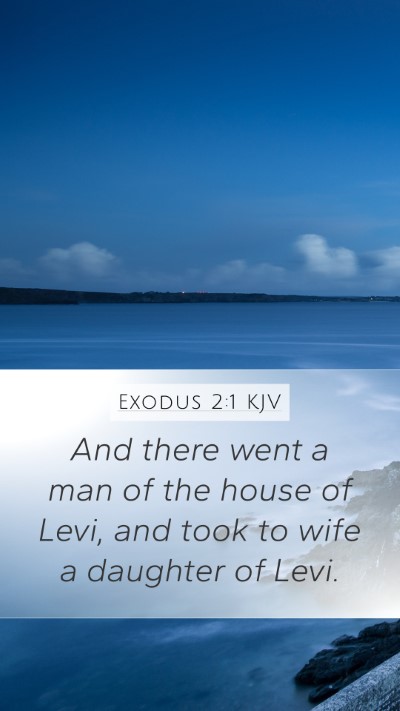 Exodus 2:1 KJV Bible Verse Image