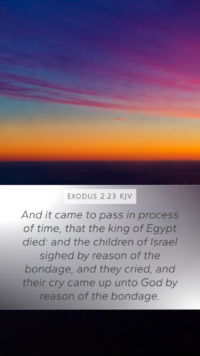 Exodus 2:23 KJV Bible Verse Image