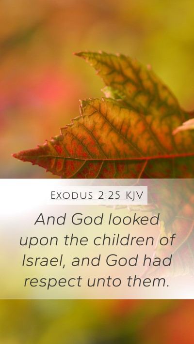 Exodus 2:25 KJV Bible Verse Image