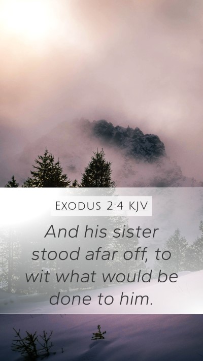 Exodus 2:4 KJV Bible Verse Image