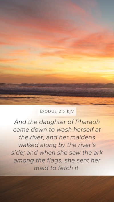 Exodus 2:5 KJV Bible Verse Image