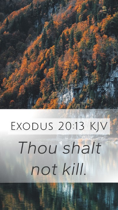 Exodus 20:13 KJV Bible Verse Image