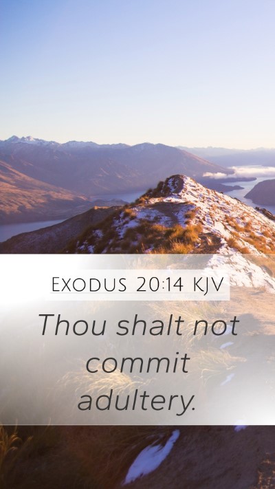 Exodus 20:14 KJV Bible Verse Image