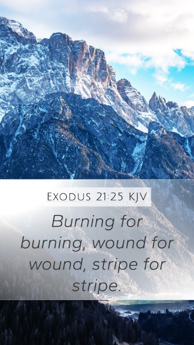 Exodus 21:25 KJV Mobile Phone Wallpaper - Burning for burning, wound for wound, stripe for - Mobile Bible Verse Wallpaper