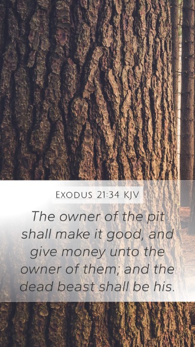 Exodus 21:34 KJV Bible Verse Image