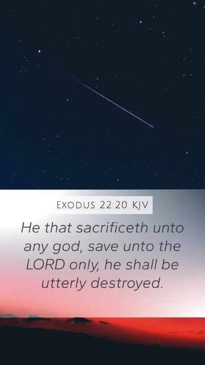Exodus 22:20 KJV Bible Verse Image