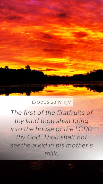 Exodus 23:19 KJV Bible Verse Image