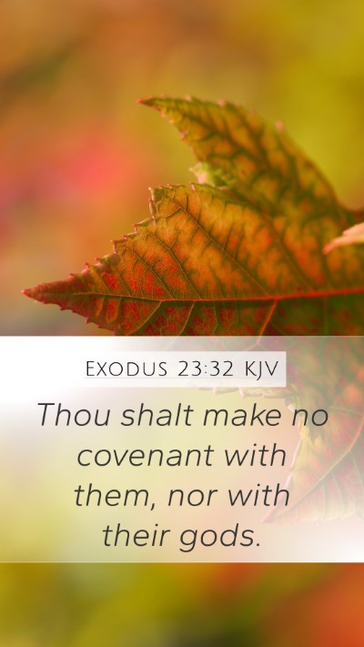 Exodus 23:32 KJV Bible Verse Image