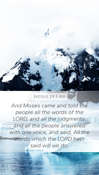 Exodus 24:3 KJV Bible Verse Image