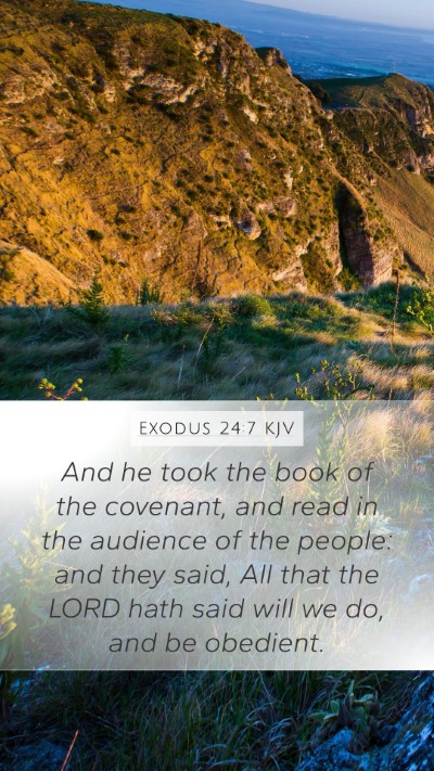 Exodus 24:7 KJV Bible Verse Image