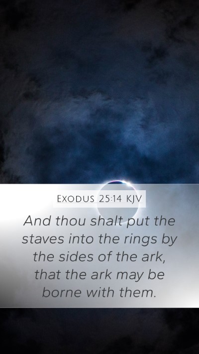 Exodus 25:14 KJV Bible Verse Image