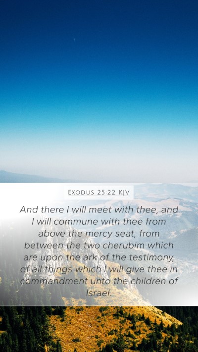 Exodus 25:22 KJV Bible Verse Image