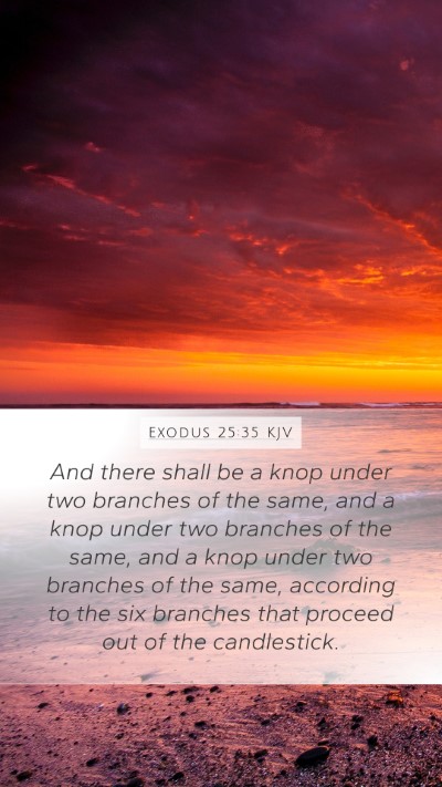 Exodus 25:35 KJV Mobile Phone Wallpaper - And there shall be a knop under two branches of - Mobile Bible Verse Wallpaper