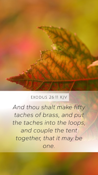 Exodus 26:11 KJV Mobile Phone Wallpaper - And thou shalt make fifty taches of brass, and - Mobile Bible Verse Wallpaper