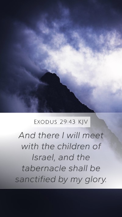 Exodus 29:43 KJV Bible Verse Image
