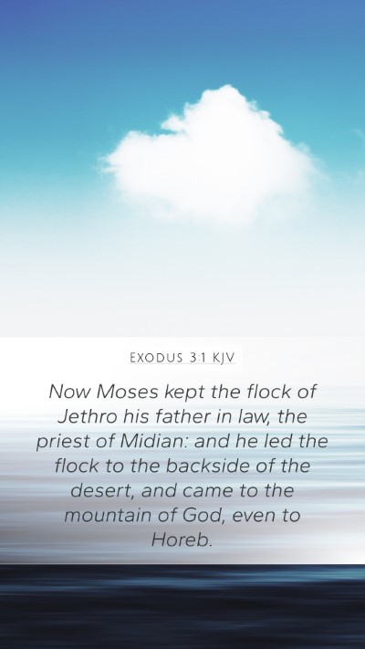 Exodus 3:1 KJV Mobile Phone Wallpaper - Now Moses kept the flock of Jethro his father in - Mobile Bible Verse Wallpaper