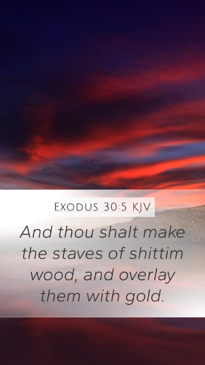 Exodus 30:5 KJV Bible Verse Image