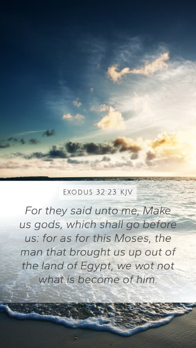 Exodus 32:23 KJV Bible Verse Image