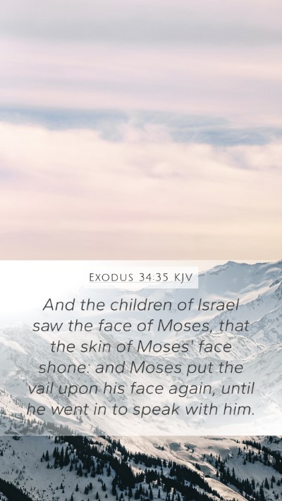 Exodus 34:35 KJV Mobile Phone Wallpaper - And the children of Israel saw the face of Moses, - Mobile Bible Verse Wallpaper
