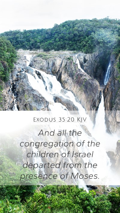 Exodus 35:20 KJV Bible Verse Image