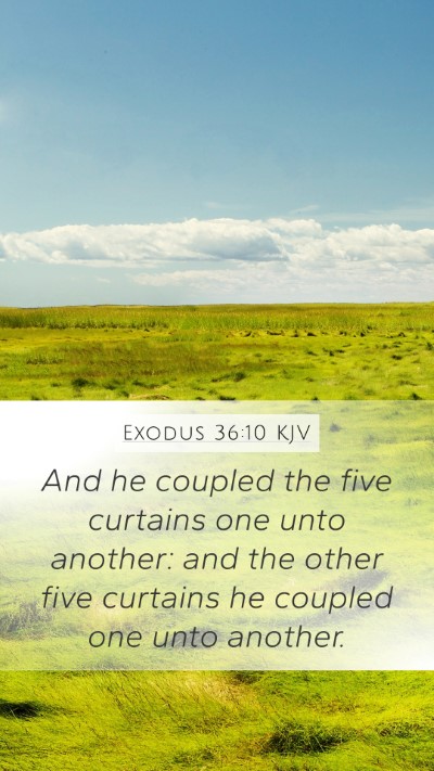 Exodus 36:10 KJV Bible Verse Image