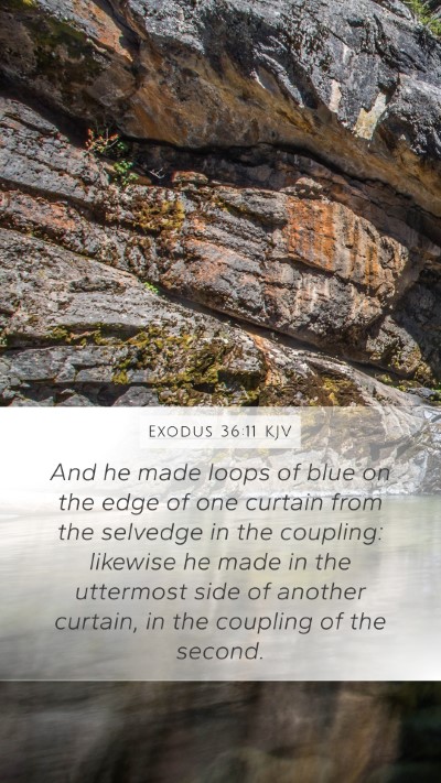 Exodus 36:11 KJV Bible Verse Image