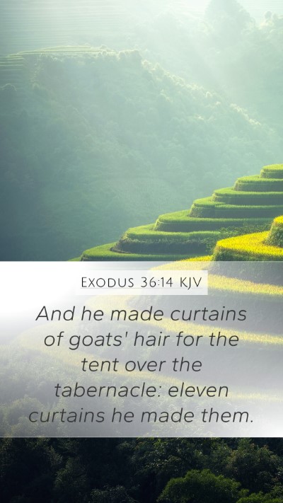 Exodus 36:14 KJV Bible Verse Image