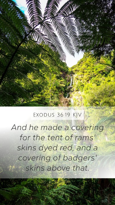 Exodus 36:19 KJV Bible Verse Image