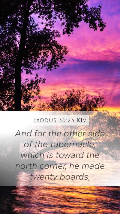 Exodus 36:25 KJV Mobile Phone Wallpaper - And for the other side of the tabernacle, which - Mobile Bible Verse Wallpaper