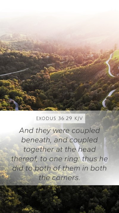 Exodus 36:29 KJV Bible Verse Image