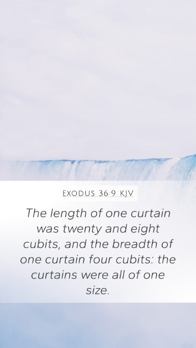Exodus 36:9 KJV Mobile Phone Wallpaper - The length of one curtain was twenty and eight - Mobile Bible Verse Wallpaper