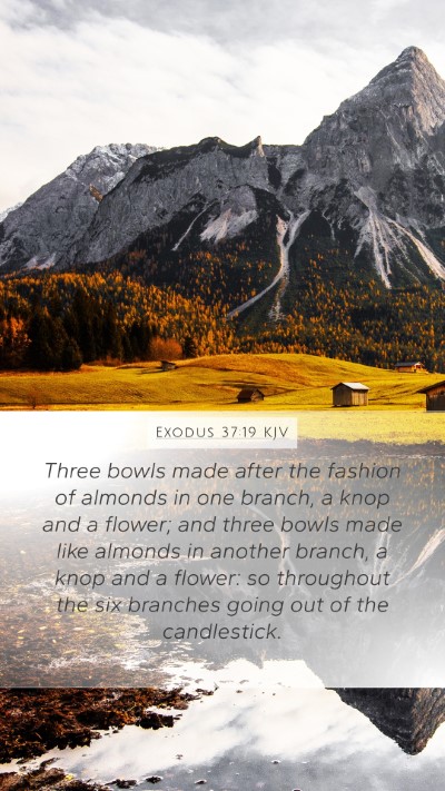Exodus 37:19 KJV Bible Verse Image