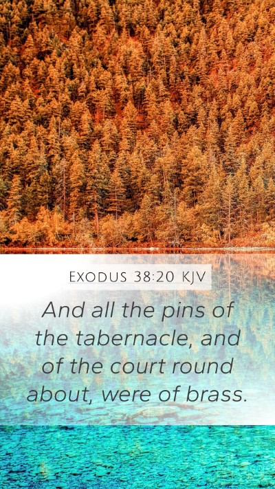 Exodus 38:20 KJV Mobile Phone Wallpaper - And all the pins of the tabernacle, and of the - Mobile Bible Verse Wallpaper
