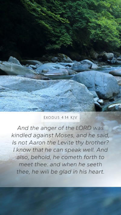 Exodus 4:14 KJV Bible Verse Image