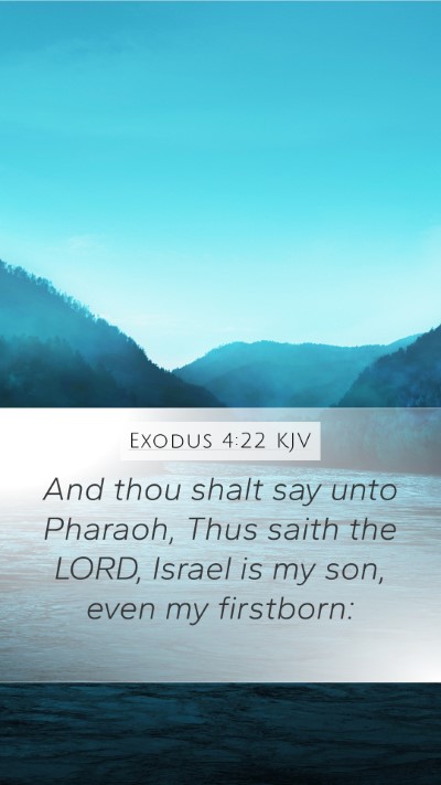 Exodus 4:22 KJV Bible Verse Image