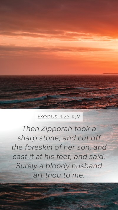 Exodus 4:25 KJV Bible Verse Image