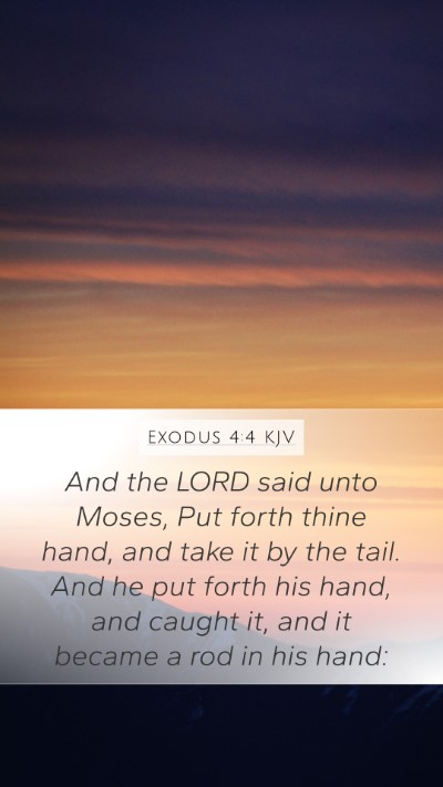 Exodus 4:4 KJV Bible Verse Image