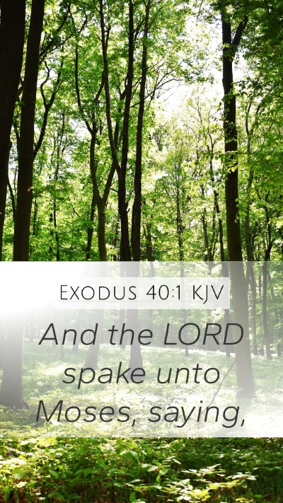 Exodus 40:1 KJV Bible Verse Image
