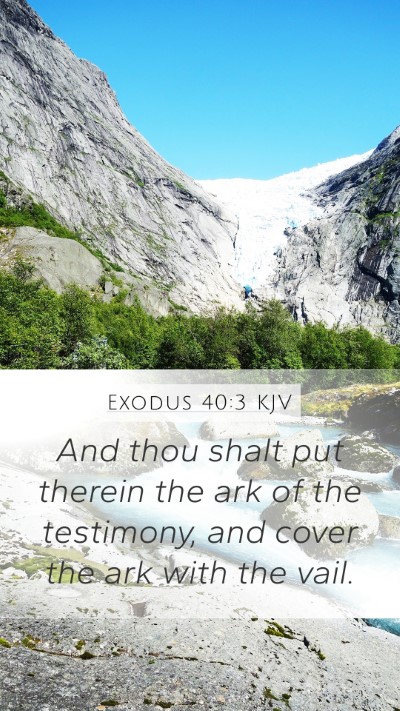 Exodus 40:3 KJV Bible Verse Image