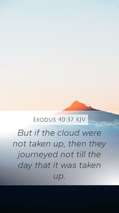 Exodus 40:37 KJV Mobile Phone Wallpaper - But if the cloud were not taken up, then they - Mobile Bible Verse Wallpaper