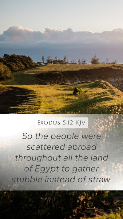 Exodus 5:12 KJV Mobile Phone Wallpaper - So the people were scattered abroad throughout - Mobile Bible Verse Wallpaper