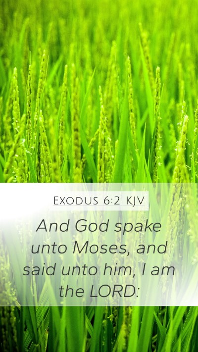 Exodus 6:2 KJV Bible Verse Image