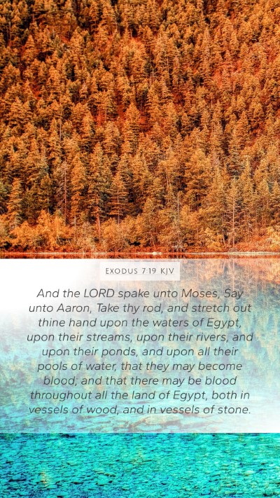 Exodus 7:19 KJV Bible Verse Image