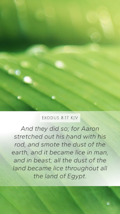 Exodus 8:17 KJV Mobile Phone Wallpaper - And they did so; for Aaron stretched out his hand - Mobile Bible Verse Wallpaper