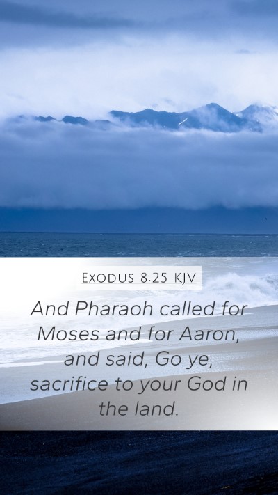 Exodus 8:25 KJV Bible Verse Image