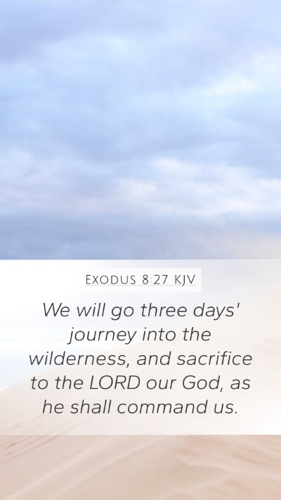 Exodus 8:27 KJV Mobile Phone Wallpaper - We will go three days' journey into the - Mobile Bible Verse Wallpaper