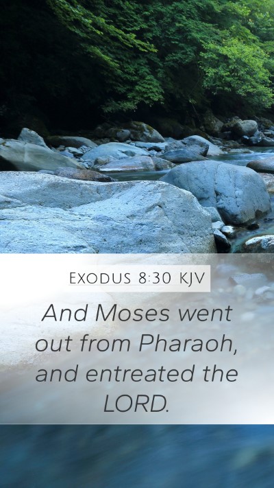 Exodus 8:30 KJV Bible Verse Image