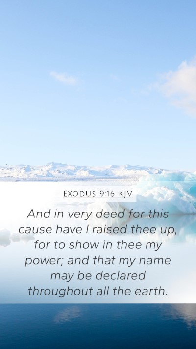 Exodus 9:16 KJV Bible Verse Image